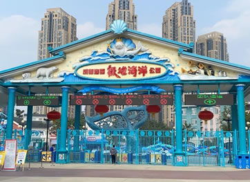 交通住宿：一场灾难