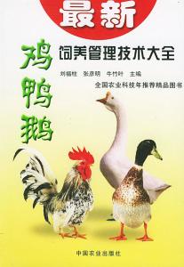 深入解读：农历与家禽的渊源