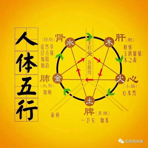 正官网运与身体健康状况