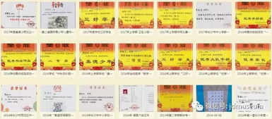 第三方平台：救命稻草还是黄牛陷阱？