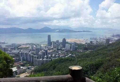 关于深圳美食的碎碎念