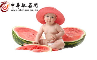 姓刘的宝宝2026年出生，如何给男孩起个好听的名字呢？
