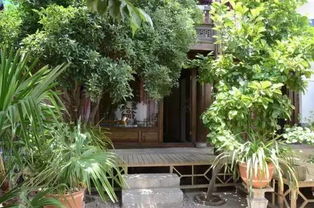 河南农村的院子风水,河南院子里种什么植物风水好又旺财