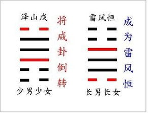 震惊！老祖宗留下的六子卦秘密大曝光