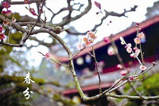 民俗禁忌