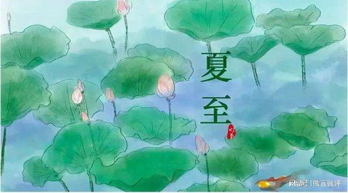 夏至的由来与习俗：传统节气里的热闹与禁忌
