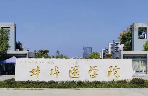 野荷的香馥：一场颠覆常规的校园活动