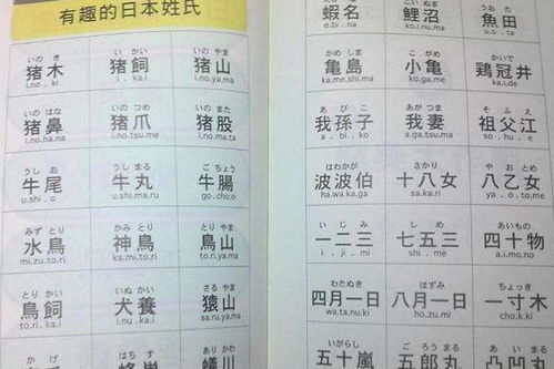 更少数民族改名后的奇葩复姓案例