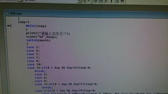 一、 岁数的迷雾：虚与实的玄机与丁丑牛的宿命