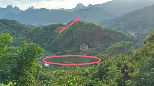 农村房前Zuo个鱼池好吗,农村房前Zuo个鱼池好吗