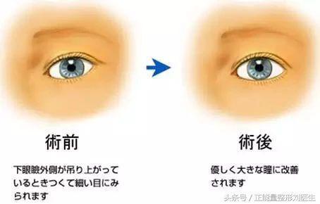 不一边辰的解读：玄学角度的神奇力量