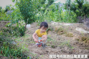 农家乐的土味冒险