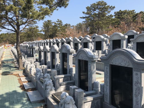 公共墓园如何选风水房,公共墓园如何选风水