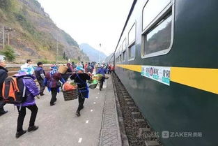 住宿？不如睡桥洞