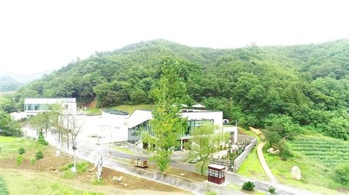五、 旅游攻略：让你玩转庄岫之旅（乱入版）