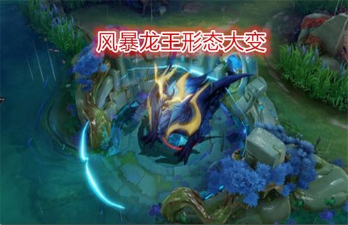 射手座？就是个没心没肺的浪子！