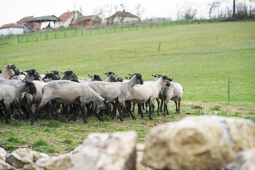 那东西夜晚， 我看到了...
