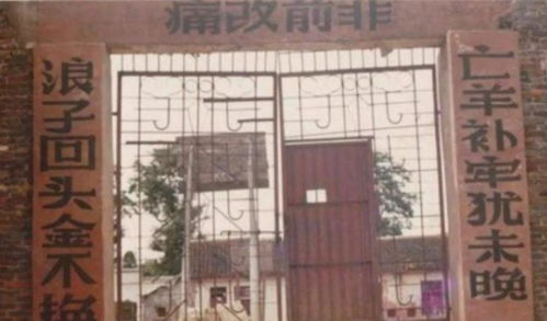 1988年属什么生肖，现在几岁了？