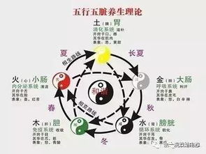 水命八字中，身强还是身弱？五行水弱女性有哪些显著特点？