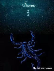 天蝎座 ： 冷静与深沉的代表