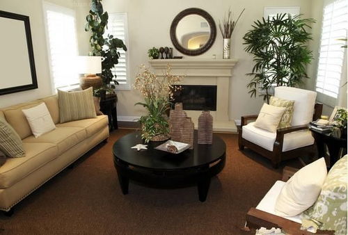 植物：绿植是万能的吗？（其实也不尽然...）