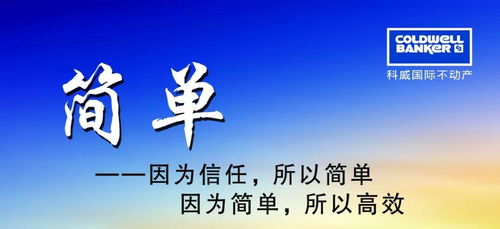 断舍离：一场关于能量的大乱炖