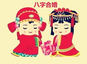 八字算命中，属牛和属虎的婚姻配对能否生育儿子？