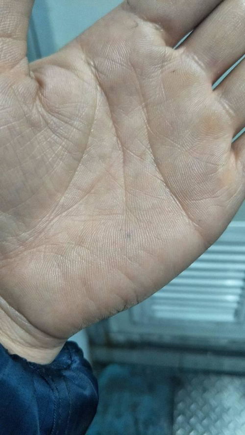 男手相中，哪里的三角纹被认为是最好的？