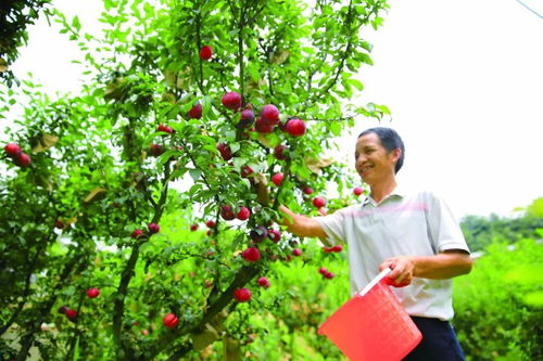 2026年最新避坑指南