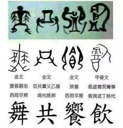 2. 天字和鹏字分别代表哪些？