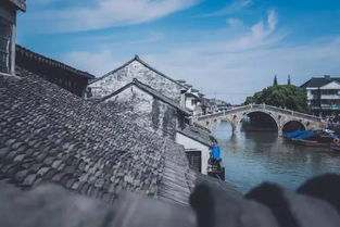 惯与羊肉的那些事儿