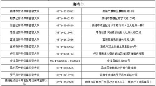 2023年11月的云南：避开人潮的7天藏着多少“不对外公开”的细节？