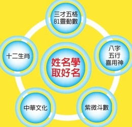 视觉冲击力有多重要？