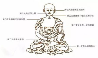 命理学中阳贵具体指的是哪些方面的贵气？