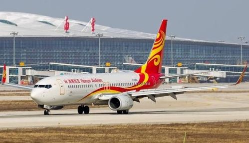 #3 “三只小猪机场”(ThreePigs Airport)