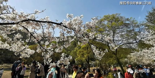 太子湾公园：浪漫的代名词