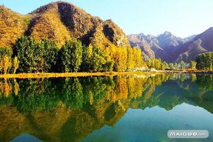 农家乐的惊天骗局