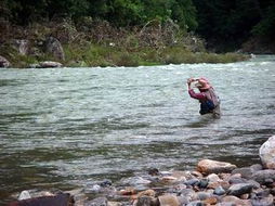 溪流钓鱼的风水寓意,溪流钓钓法
