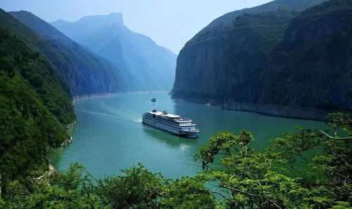 旅行社的
