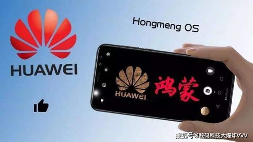 华为手机应用市场为何突然无法搜索到八字排盘相关的应用工具呢？