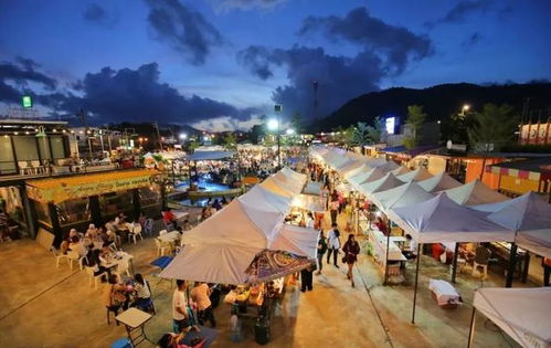 5. 悉尼塔：花钱买罪受