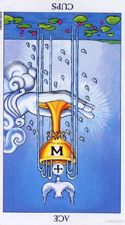 圣杯国王逆位代表我的感情现状是不是出了问题？
