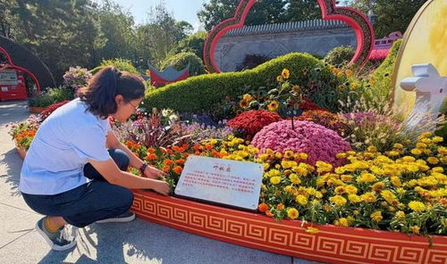 救命啊！陶然亭公园的花坛美到让人窒息！2026年中秋国庆双节必看玄学指南