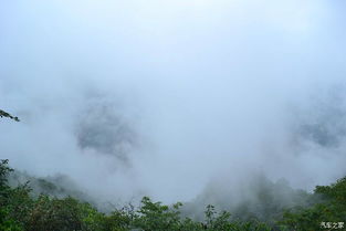 惯与“神秘面纱”这件事