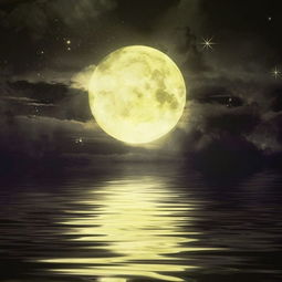 二、 泪痕与阴影：十二生肖的怨灵唱戏