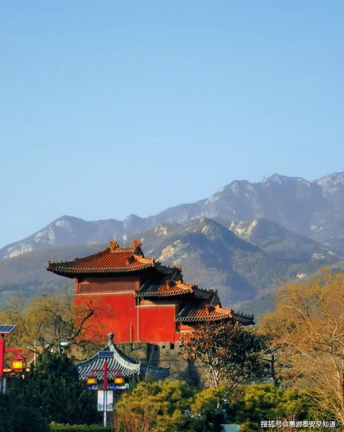 岱庙：历史的沉淀与辉煌