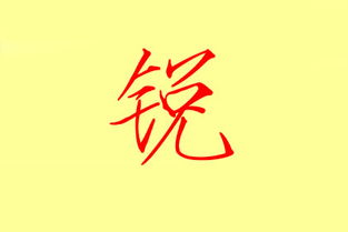 一、 先抛出几个“金”字旁的常见候选（随意排）