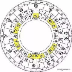 生肖星座与住宅风水：命运大揭秘
