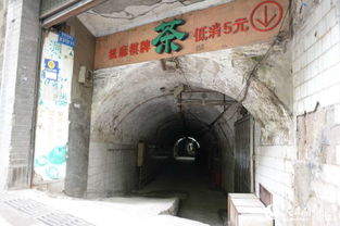 第三站：食堂地下的防空洞——藏着改变生肖运势的阵法？！