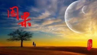 前世的迷惘